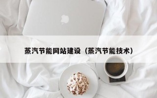 府谷蒸汽节能网站建设（蒸汽节能技术）